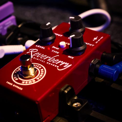 Цифровой ревербератор от AMT Electronics — RY-1 Reverberry Digital Reverb