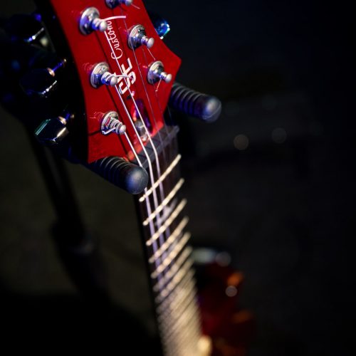 Электрогитара PRS SE Custom